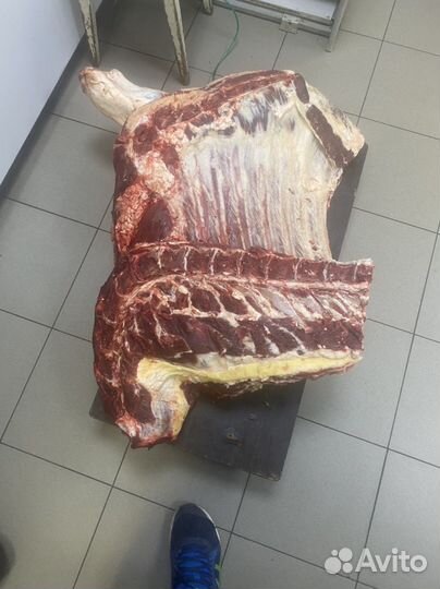 Забой быков коров