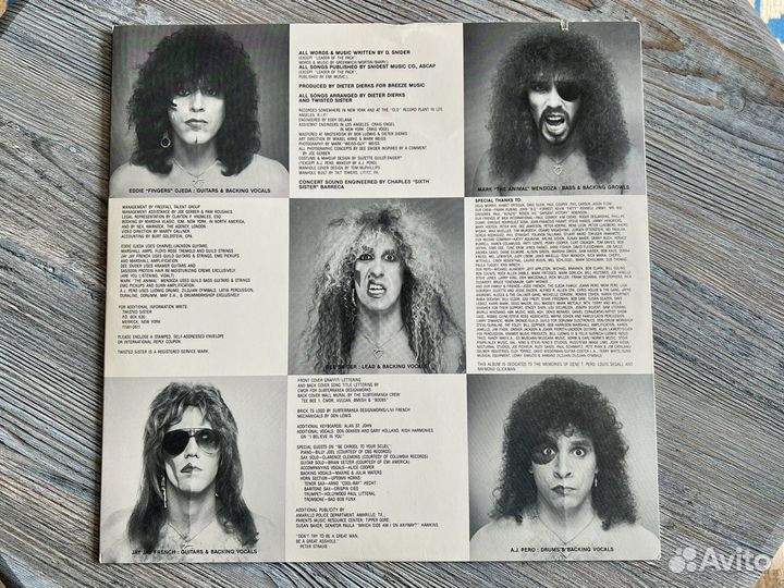 Виниловая пластинка Twisted Sister