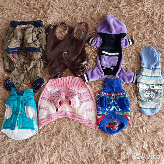 Одежда для собак (xs) одним пакетом