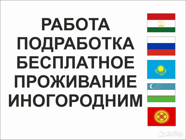 Сортировщик на макаронную фабрику