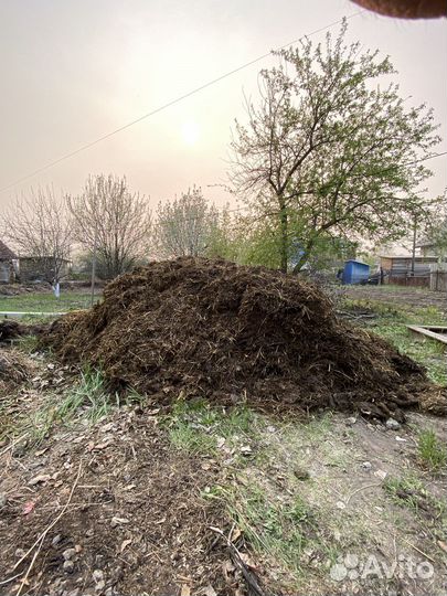 Продам Навоз