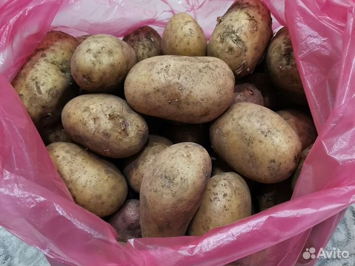 Продам картофель с доставкой