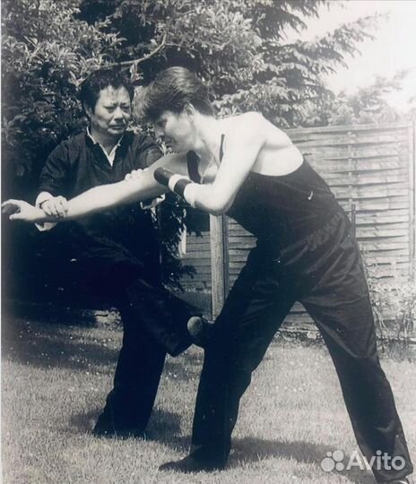 Вин Чунь (VingTsun WSl)(кунг-фу )