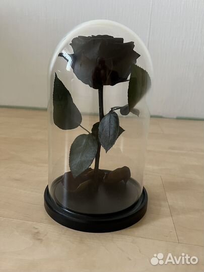 Роза в колбе