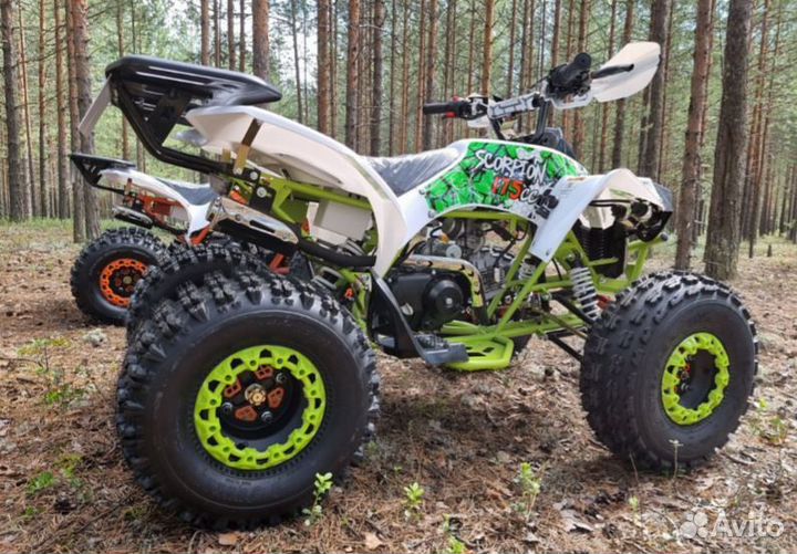 Квадроцикл promax scorpion 180