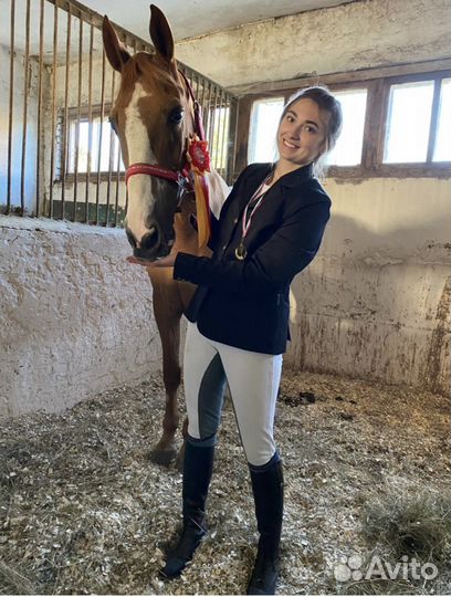 Сапоги кожаные- конкур