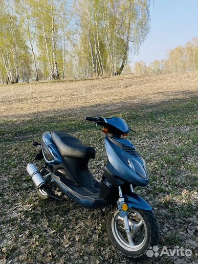 Racer lupus 50