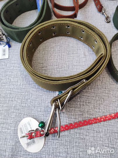 Ошейник, поводок, шлейка