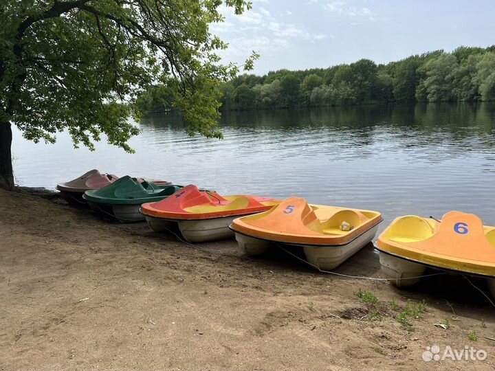 Прокат Аренда Sup Board