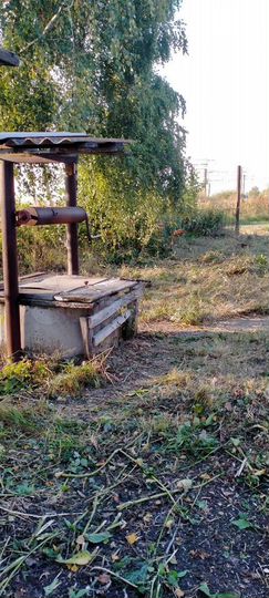 Дом 60 м² на участке 55 сот.