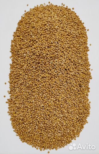 Просо, сафлор, лён, рапс, канареечное семя