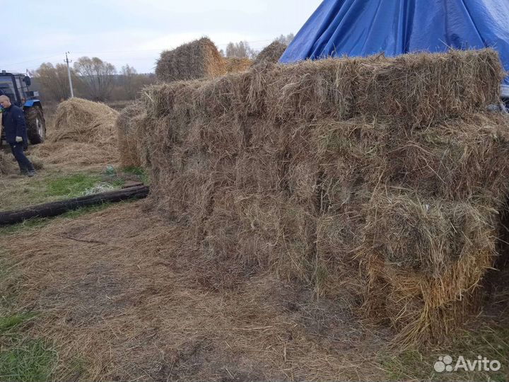 Сено солома в тюках