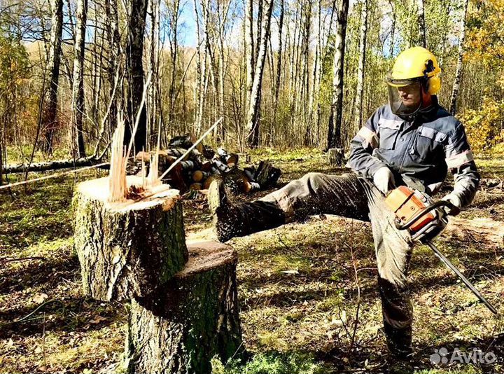 Аренда измельчителя веток, веткодробилка, чиппер