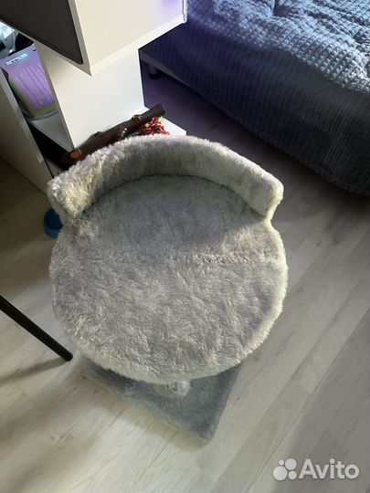 Когтеточка,лежанка