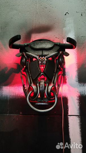 Испанский боевой бык #Toro