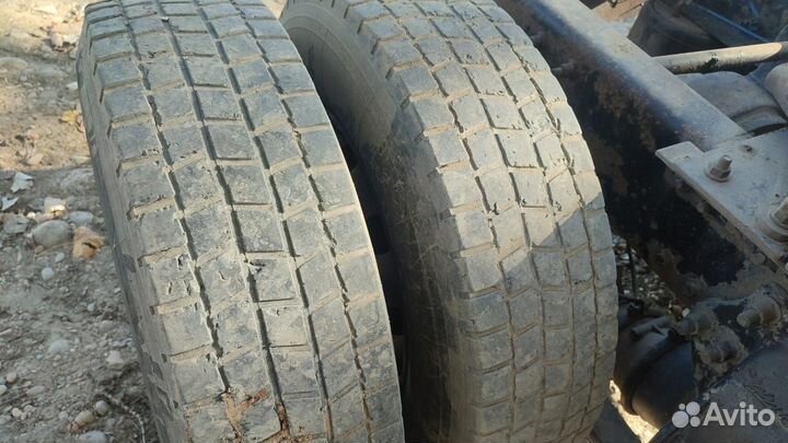 Accelera Accelera Summer 295/75 R22 200Y