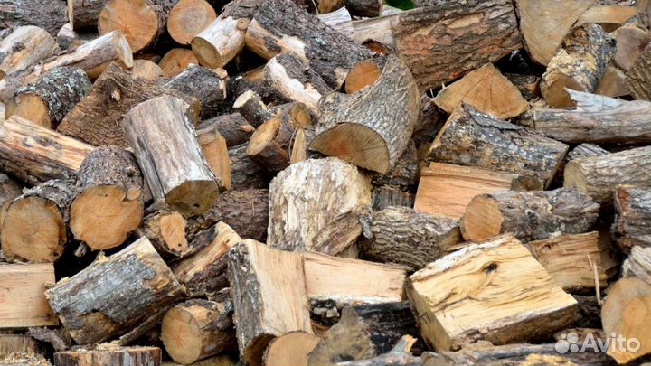 Дрова с Приморска