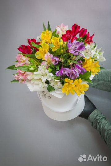 Букет из 9 альстромерий в шляпной коробке, цветы д