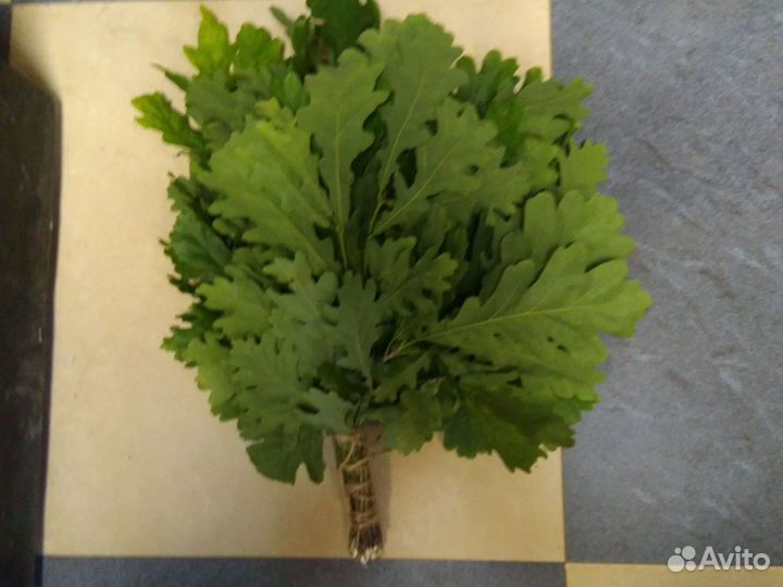 Веники дубовые