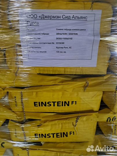 Семена гибрида озимого рапса Einstein