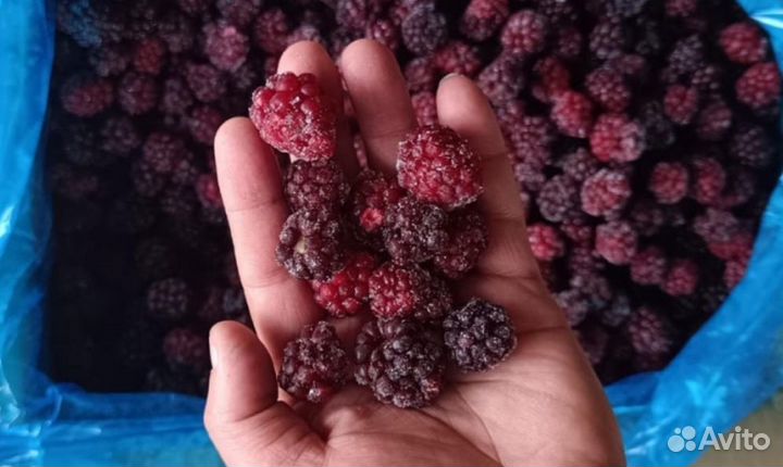Замороженные ягоды