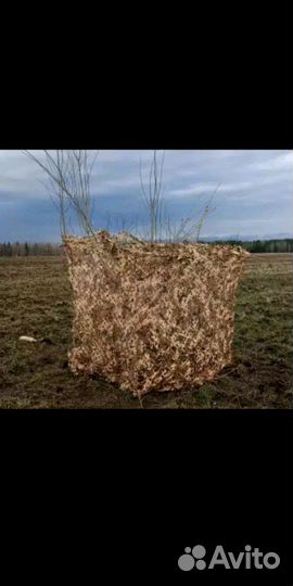 Маск-ная сеть