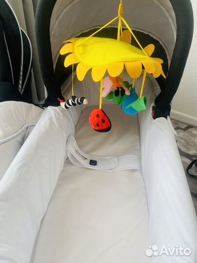 Для двойни только сегодня