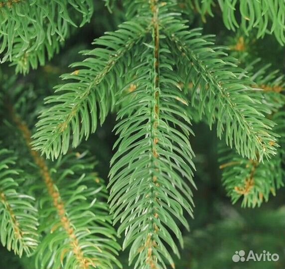 Елка искусственная новогодняя + гирлянда