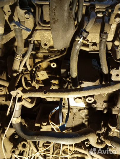 Двигатель yd22ddti