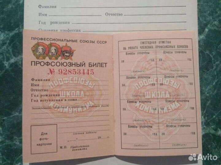 Профсоюзный билет