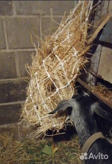 Сетка для сена