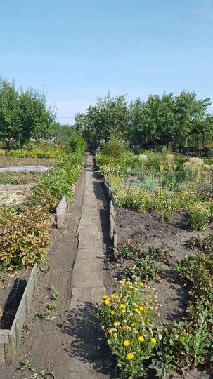 Дача 20 м² на участке 8 сот.