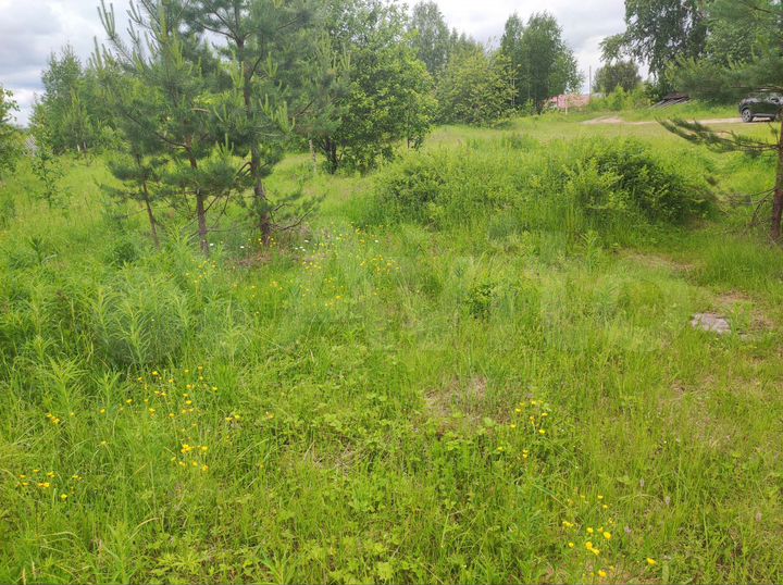 Участок 11 сот. (ИЖС)