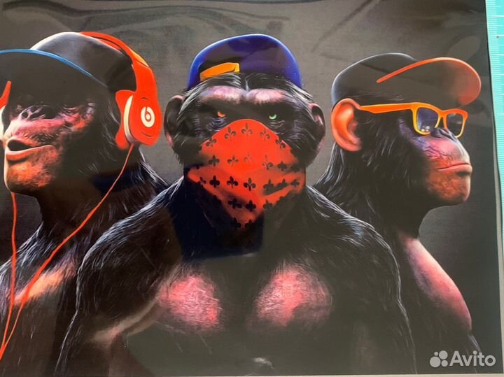 Термотрасфер, наклейки на одежду, печать DTF