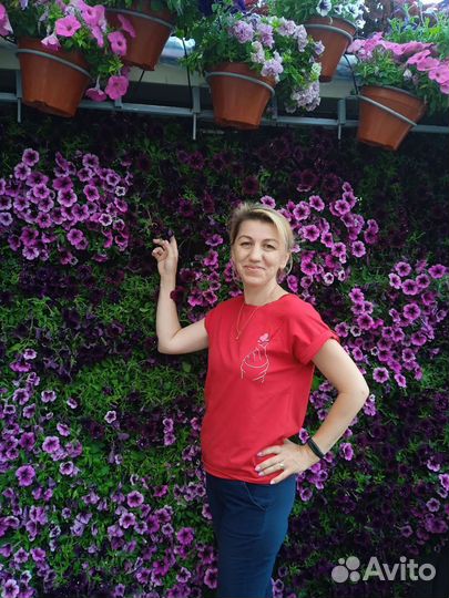 Репетитор начальных классов