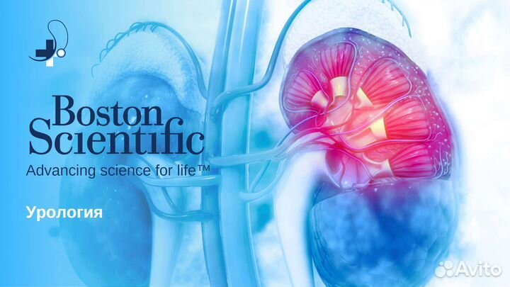 Презентации на заказ