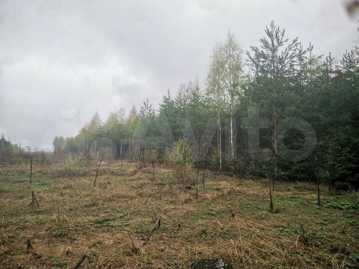 Участок 2,4 га (СНТ, ДНП)