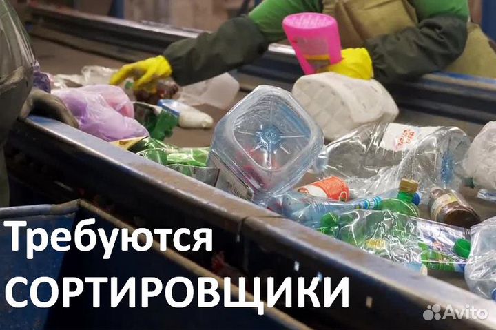 Сортировщики (график 2/2)