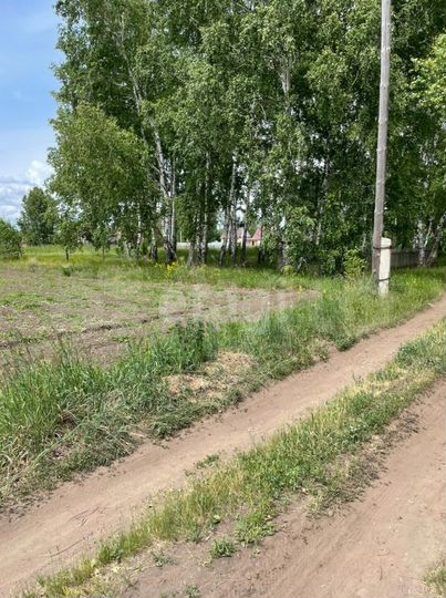 Участок 6 сот. (СНТ, ДНП)