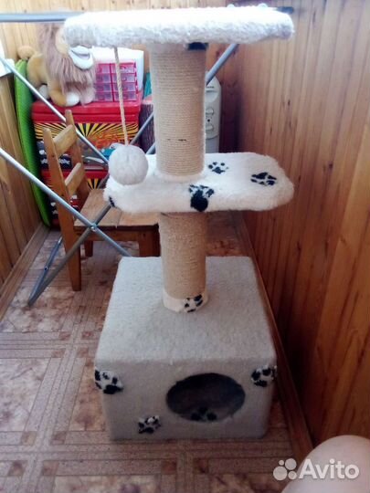 Когтеточка