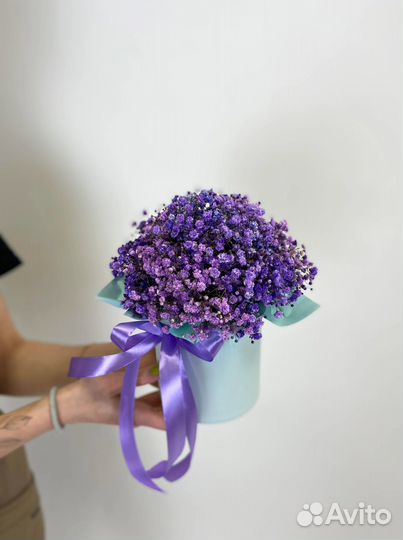 Гипсофила в коробке цветы