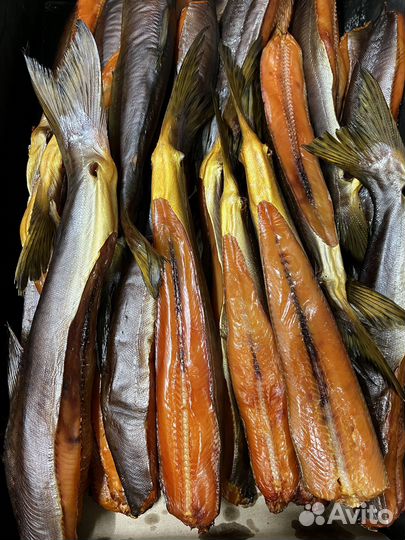 Холодного копчения горбуша, скумбрия, тунец, масл