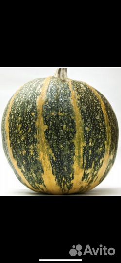 Семена - тыквы голосемянка