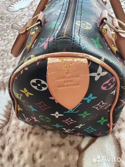 Саквояж Louis Vuitton multicolour