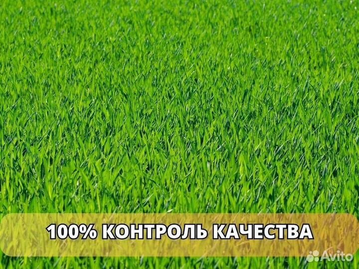 Продажа рулонного газона под ключ