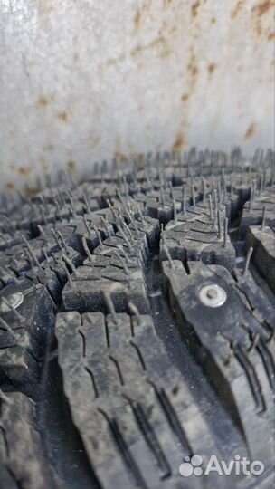 КАМА Кама-Евро-519 175/65 R14