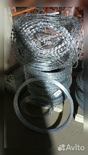 Колючая проволока егоза