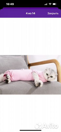 Попона послеоперационная для кошек и собак