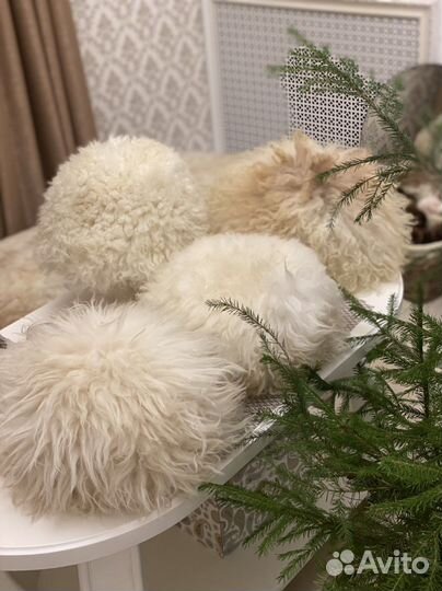 Папаха кавказская