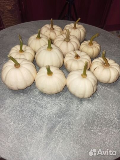 Тыква для декора